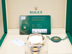 Rolex Daytona Golden Index Dial on Oyster 126503 Complete 2026