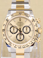 Rolex Daytona Golden Index Dial on Oyster 126503 Complete 2026