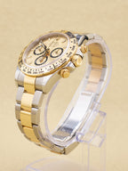 Rolex Daytona Golden Index Dial on Oyster 126503 Complete 2026