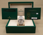 Rolex Oyster Perpetual 41 Silver Dial on Oyster 134300 Complete 2025