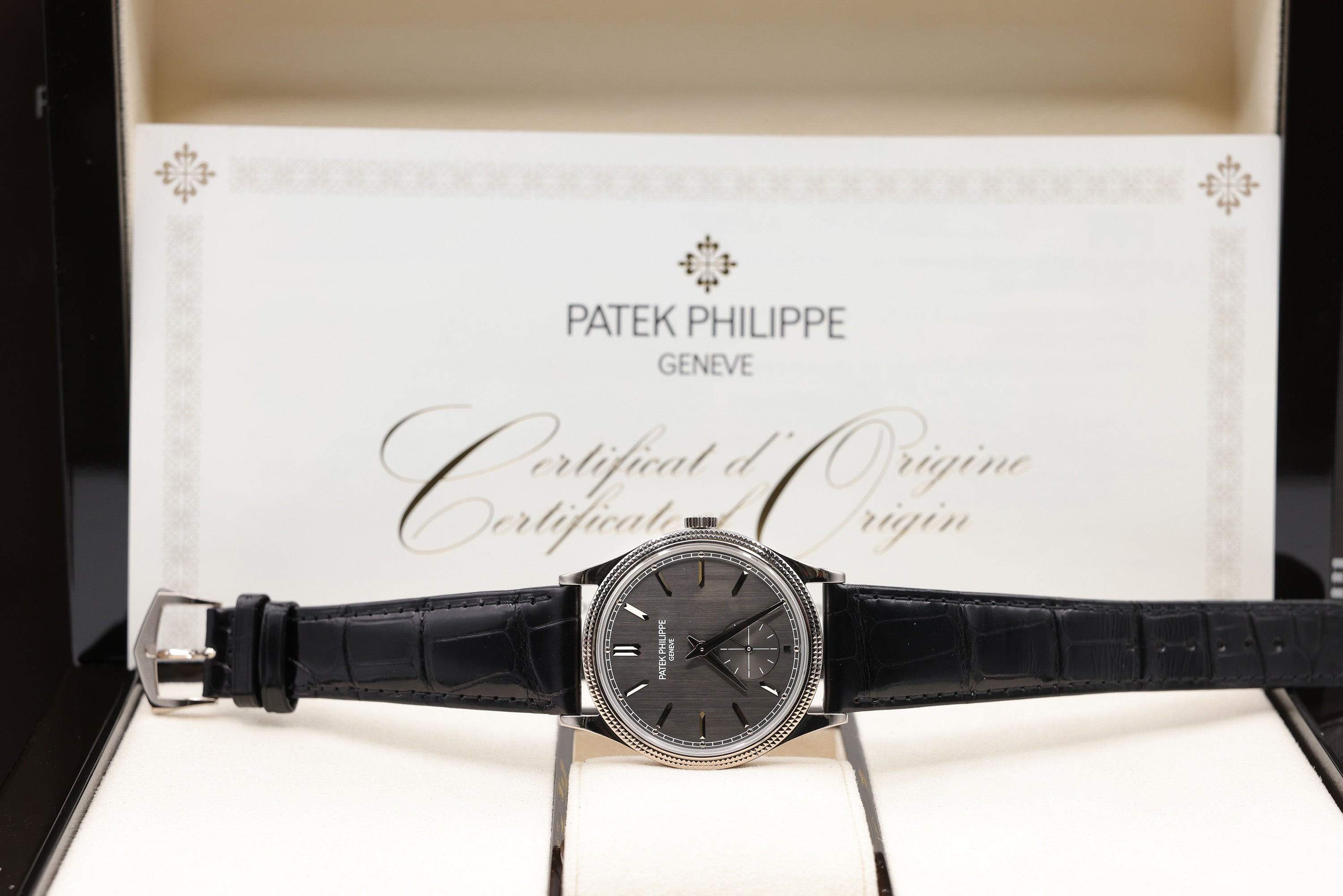 Patek Philippe Calatrava Charcoal Gray Dial on Strap 6119G-001 Complete 2024