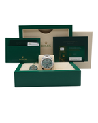 Rolex Datejust 41 Mint Green Index Dial on Oyster 126334 Complete 2025