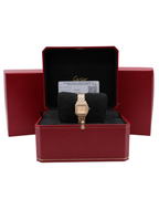 Cartier Panthere de Cartier Small Gold Dial on Bracelet WJPN0057 Complete Open Date
