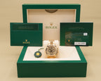 Rolex Daytona Golden Index Dial on Oyster 126508 Complete 2024