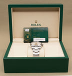 Rolex Oyster Perpetual 41 Silver Dial on Oyster 134300 Complete 2026