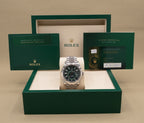 Rolex SkyDweller Mint Green Dial on Jubilee 336934 Complete 2026