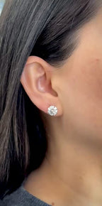 White Gold - Studs 5 cts.